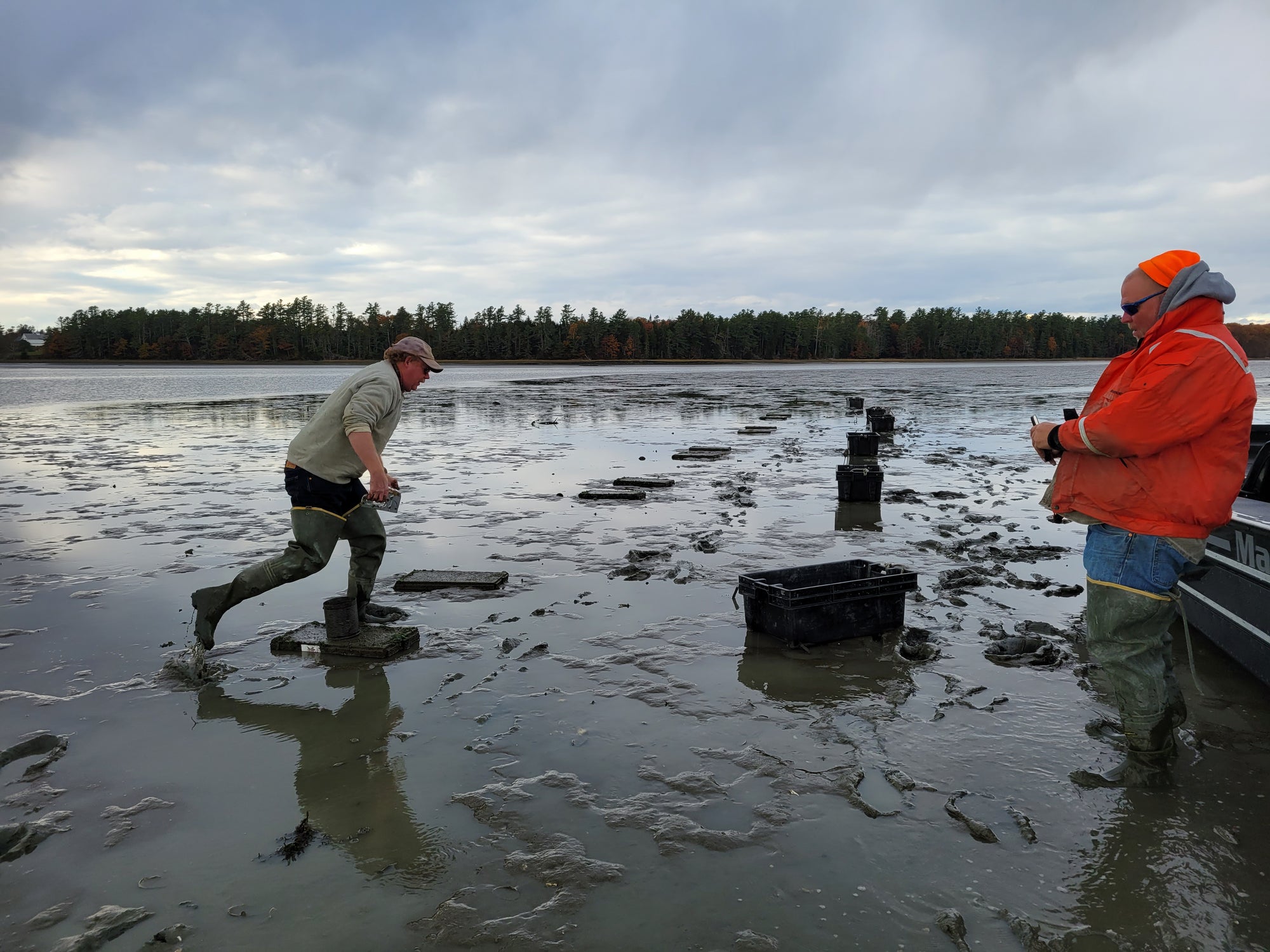 World Oceans Day 2022