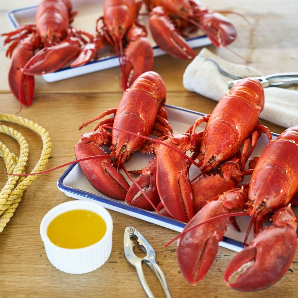 Load image into Gallery viewer, Live Maine Lobster - 1.25 - 1.5 lb
