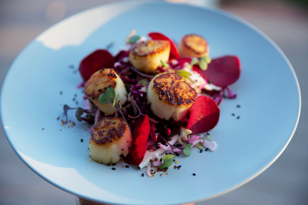 Seared Scallops With Marinated Cabbage