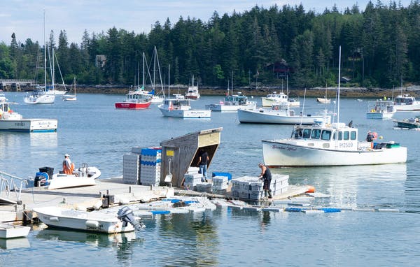 Island Institute and Luke’s Lobster Partner to Energize Maine’s Marine Economy